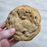 Hand holding a chocolate chip cookie against a marble background